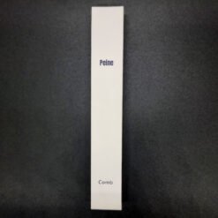 Alternative view of Peine Hotelero